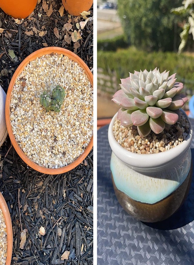 Avalution 2mm-4mm Coarse Sand Stone Plant Decorative Gravel Succulents, Cactus Bonsai Gravel, Terrarium Filling DIY Gardening Indoor & Outdoor Garden Bonsai Decoration-3LB - Image 4